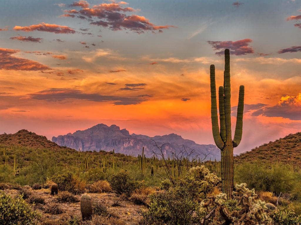 Atardecer en el desierto de Sonora cerca de Phoenix, Arizona. 