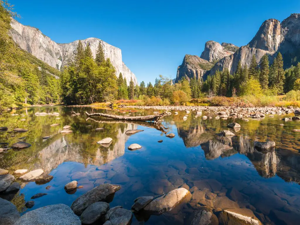 Parque Nacional Yosemite, EE.UU. con rocas en el agua en primer plano y densos bosques a lo lejos con grandes montañas y un cielo azul.
