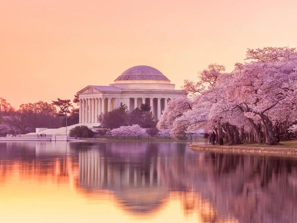 Jefferson Memorial durante el Festival de los Cerezos en Flor.  Washington DC