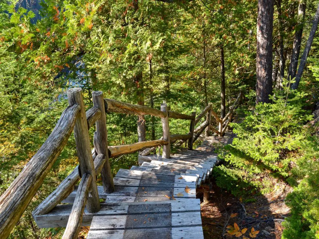 Río Rimouski, Saint-Narcisse-de-Rimouski, Quebec, Canadá con un sendero de madera (escaleras de madera) a lo largo del río Rimouski y rodeado de bosques en un día soleado.