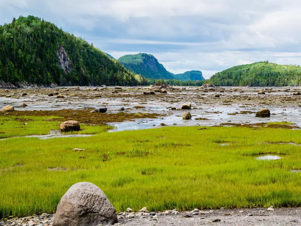 Parque Nacional Bic, Quebec, Canadá con un primer plano de hierba, agua y rocas y luego montañas verdes en la distancia en un día soleado pero nublado.