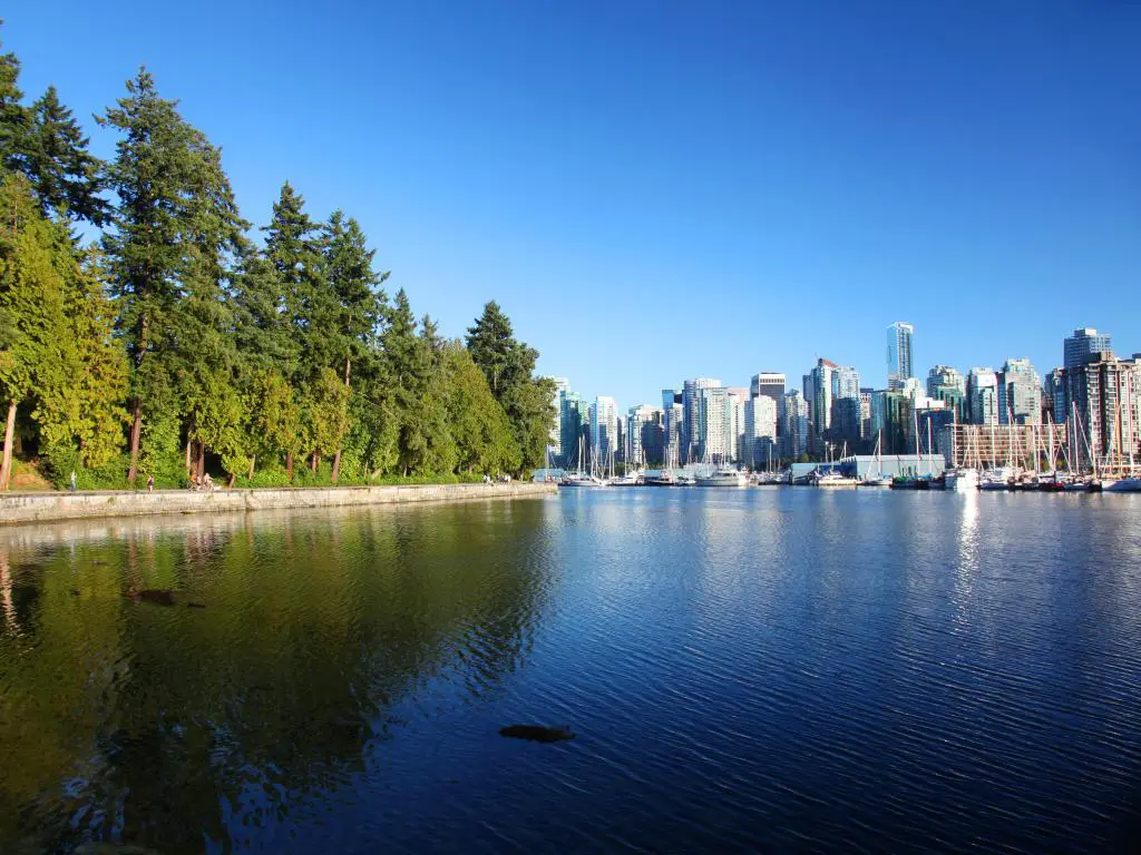 Parque Stanley en Vancouver, Canadá.  La foto se tomó en un día despejado con cielos azules y muestra el lugar donde los árboles del parque se encuentran con el horizonte de Vancouver.