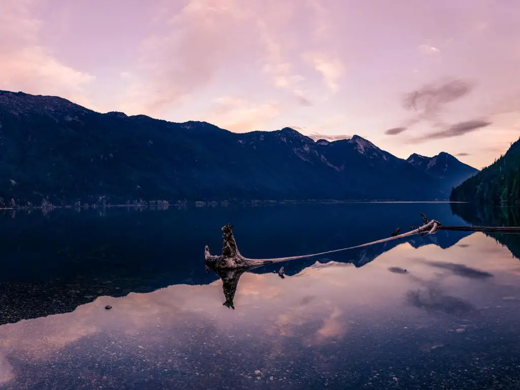 Lago Chilliwack, Columbia Británica, Canadá, tomada al atardecer con el lago en primer plano, madera a la deriva flotando en el agua y las montañas en la distancia.