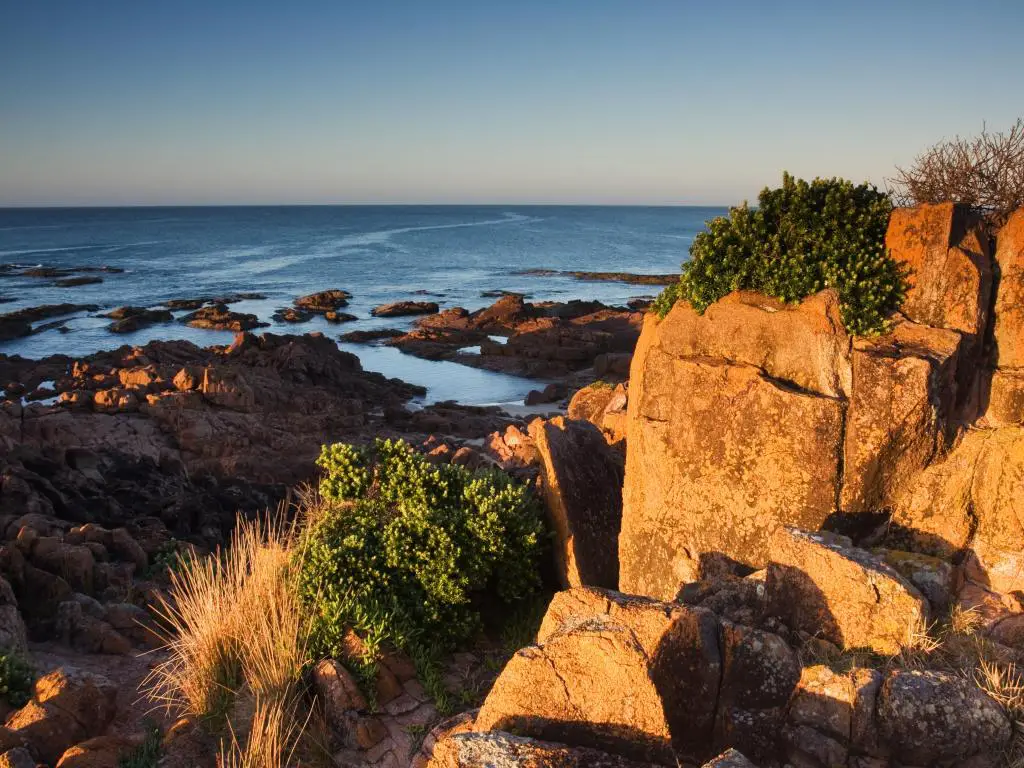 Anna Bay, NSW, Australia con rocas escarpadas y plantas en primer plano, y el mar a la luz de la noche en la distancia. 