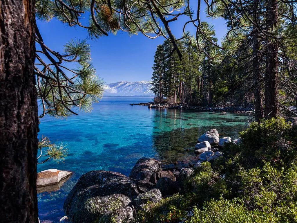 Aguas claras y turquesas del lago Tahoe con costas de bosques de pinos y montañas