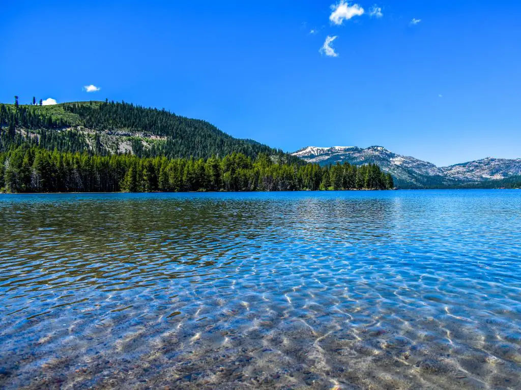 Agua azul clara con laderas cubiertas de pinos y montañas nevadas en la otra orilla del lago