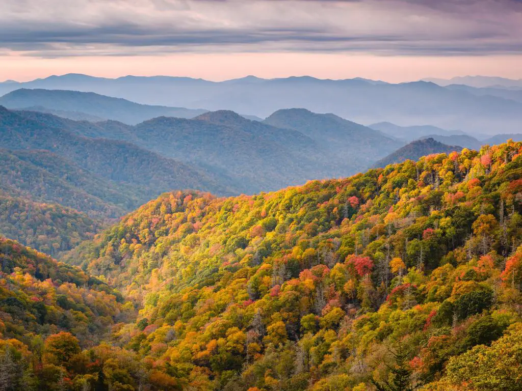 Parque Nacional Great Smoky Mountains, Tennessee, EE.UU. con vistas al Newfound Pass en otoño al atardecer con montañas en la distancia y una luz suave. 