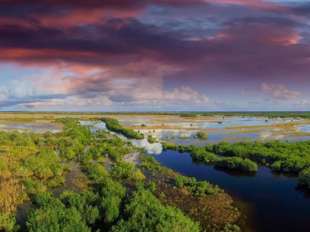 Everglades, Florida, EE. UU. Tomada como una vista aérea panorámica con la vegetación creciendo en parches a través de una gran área de pantanos de agua con un cielo espectacular arriba. 