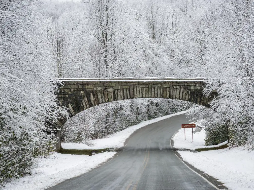 Camino helado a través del bosque cubierto de nieve con un pequeño puente de ladrillo sobre el camino