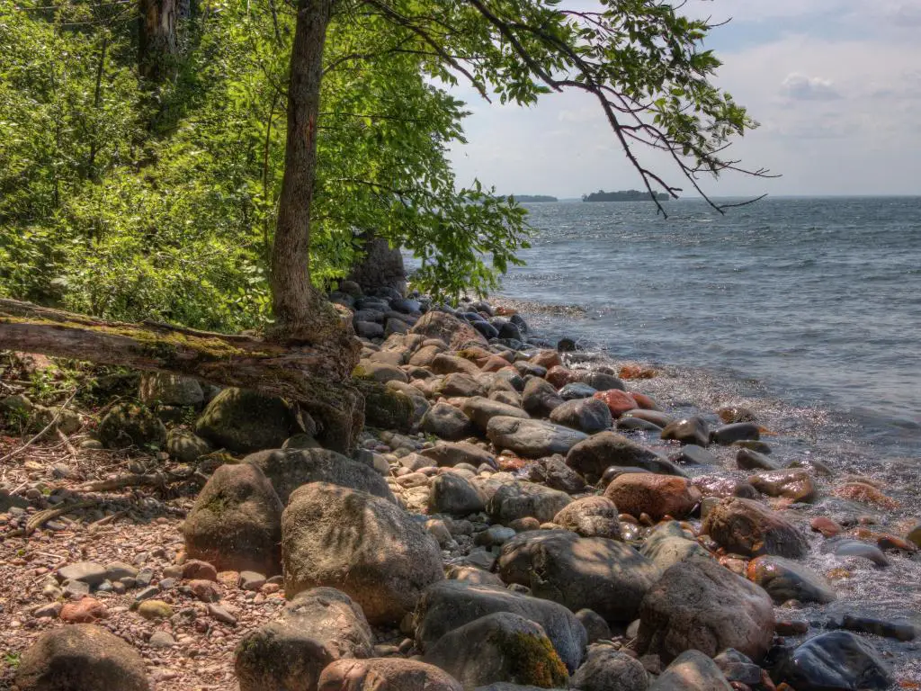 Reserva de nativos americanos Leech Lake, norte de Minnesota tomada en Bowstring Lake con rocas y un árbol caído en primer plano y el lago que conduce a la distancia en un día soleado.