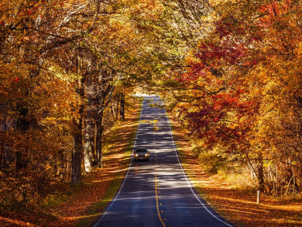 Camino a través del Parque Nacional Shenandoah con vibrantes colores otoñales
