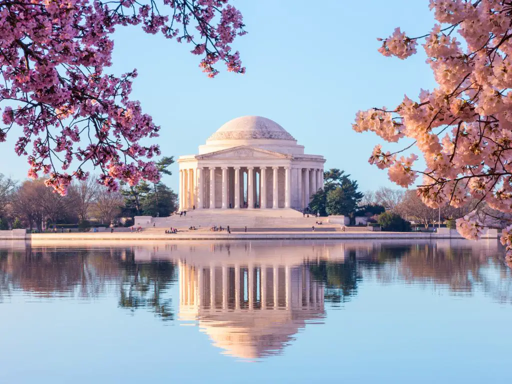 Las flores de cerezo de color rosa brillante que enmarcan el monumento que se refleja en las aguas de Tidal Basin en Jefferson Memorial, Washington DC