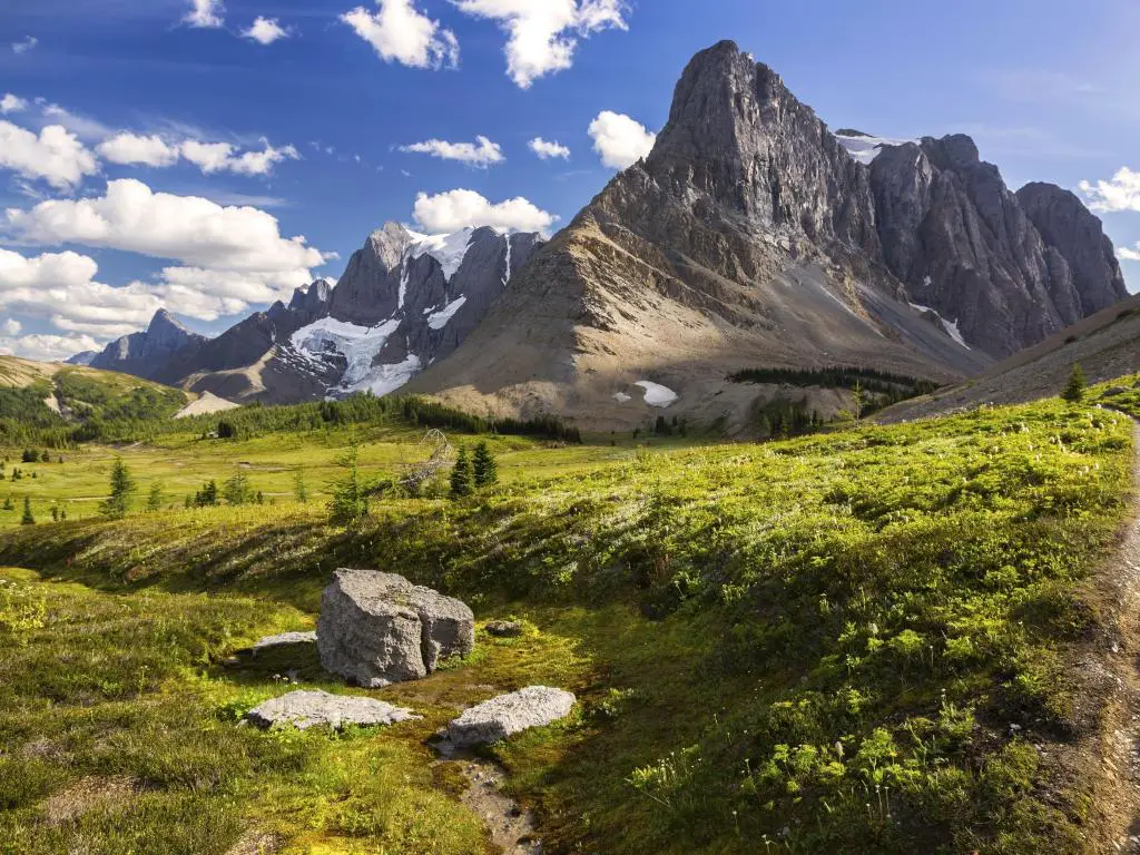Parque Nacional Kootenay, Canadá, con verdes prados alpinos en primer plano y los acantilados de Rockwall Mountain Peak en la distancia en un día soleado.