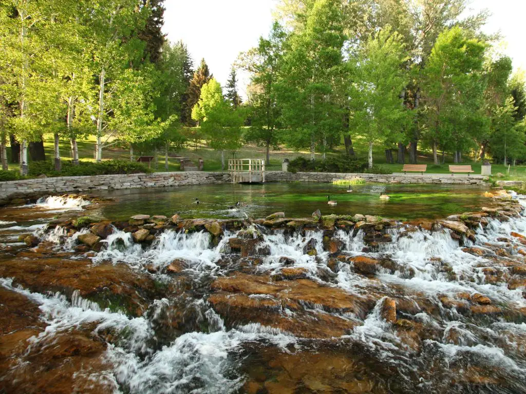 Parque estatal Giant Springs en Great Falls, Montana con gansos canadienses (Branta canadensis) en el agua y una sección rocosa en primer plano, un parque y árboles altos en la distancia. 