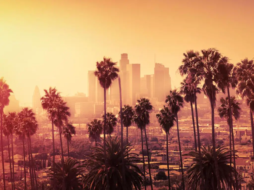 Los Ángeles, Estados Unidos al atardecer con palmeras casi como siluetas en primer plano y el horizonte del centro de la ciudad en el fondo en tonos amarillos. 