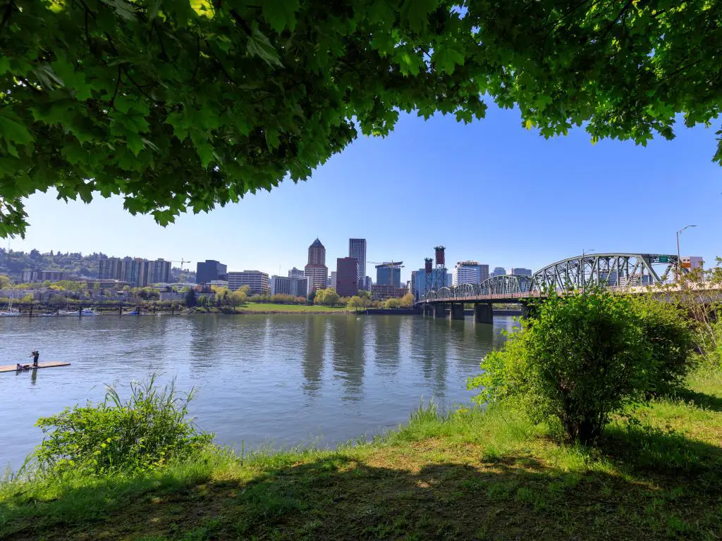Portland, Oregón, con hierba y árboles que sobresalen en primer plano, el puente Hawthorne que cruza el río Willamette con el paisaje urbano y el horizonte a lo lejos en un día soleado.