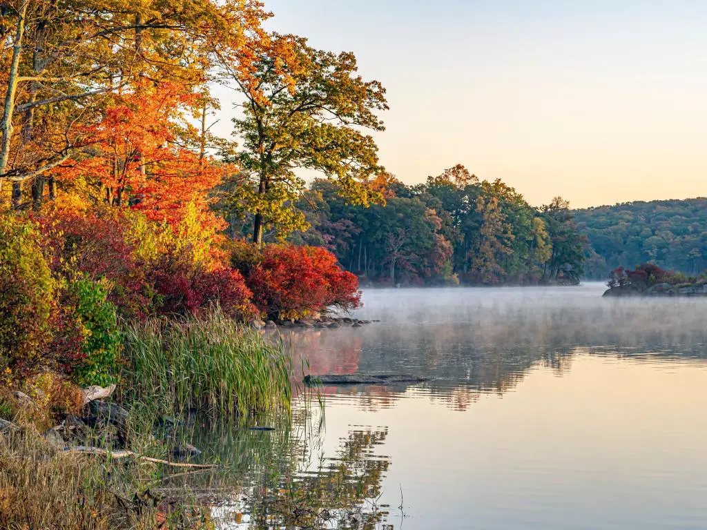 Niebla que se eleva del agua del lago con follaje de otoño naranja y dorado en los árboles en primer plano