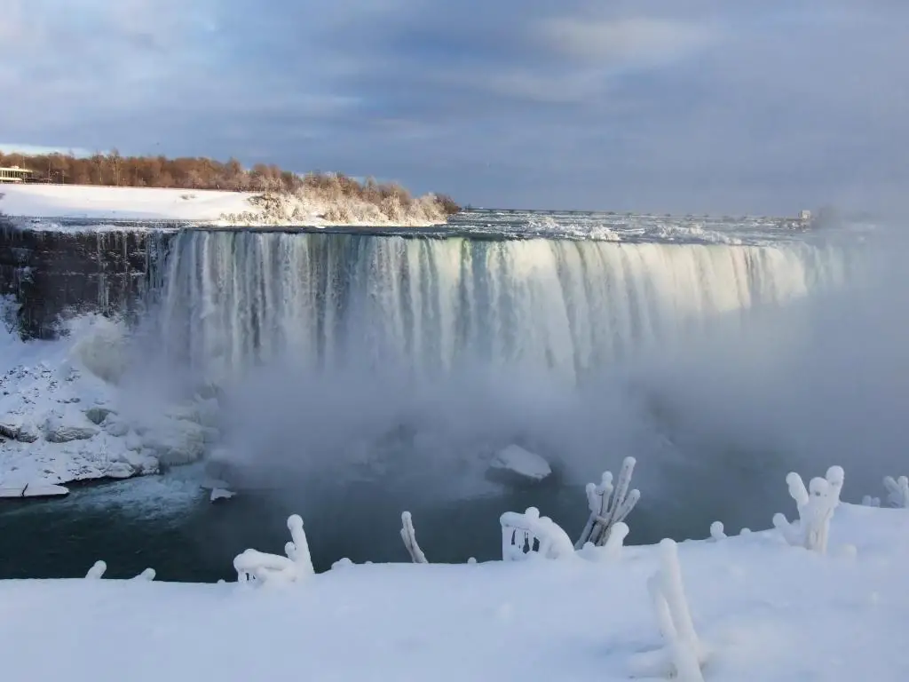 Cascada en Niagara con suelo cubierto de nieve y follaje