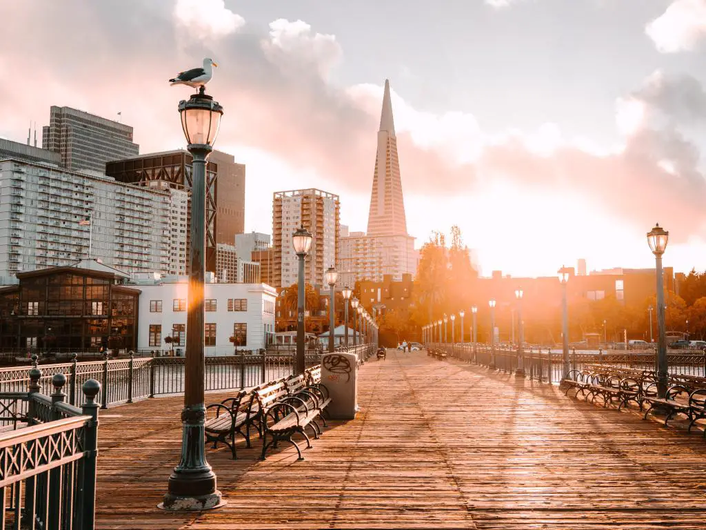 San Francisco, EE.UU. tomada en el Muelle 7 al atardecer con un suave resplandor, una gaviota se sentó en una de las farolas y los rascacielos de la ciudad a lo lejos. 