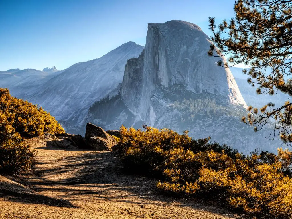 Parque Nacional Yosemite, California, tomada en Half Dome Trail View con arbustos y un camino en primer plano, un árbol al borde y una gran montaña en el fondo en un día claro y soleado.