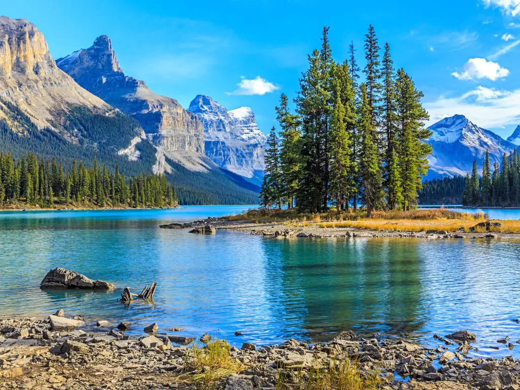 Parque Nacional Jasper, Alberta, Canadá con Spirit Island en Maligne Lake en primer plano, árboles altos más allá del lago y montañas cubiertas de nieve en la distancia bajo un cielo azul.
