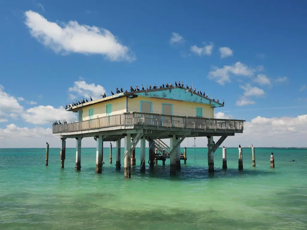 Casa sobre pilotes en el mar con aves marinas en lo alto