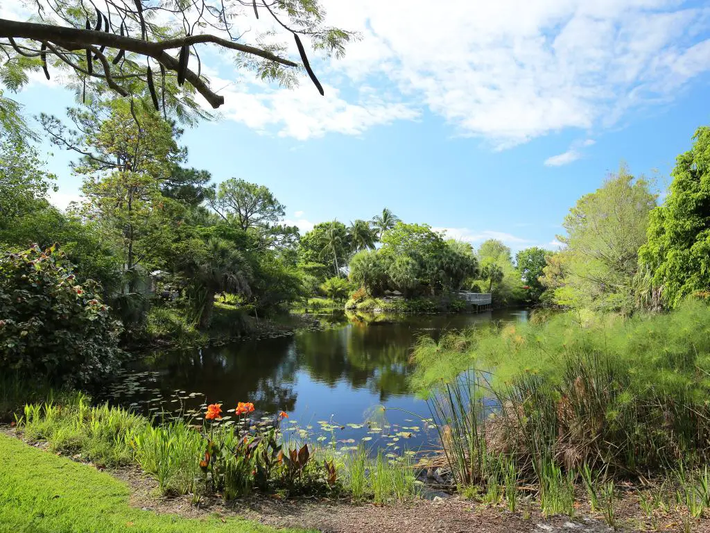 Mounts Botanical Gardens en Palm Beach, Florida, EE.UU. con flores silvestres en primer plano, un lago en la distancia rodeado de vegetación y árboles en un día soleado.