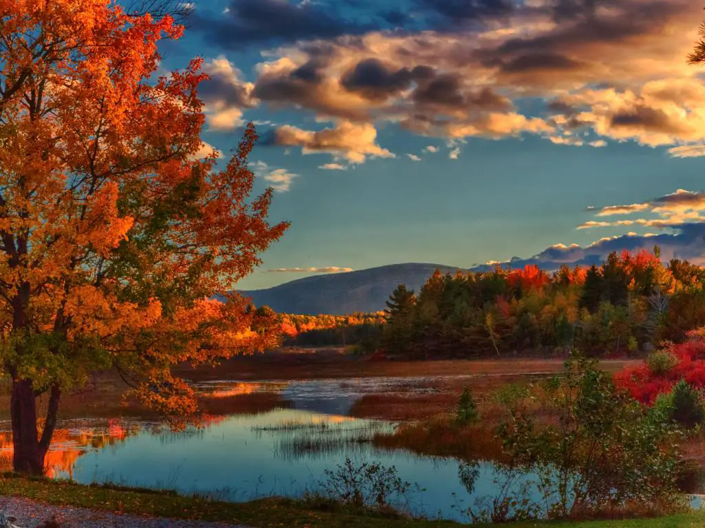 Los árboles brillan con los colores del otoño, reflejados en el agua del lago con la silueta de una montaña en la distancia