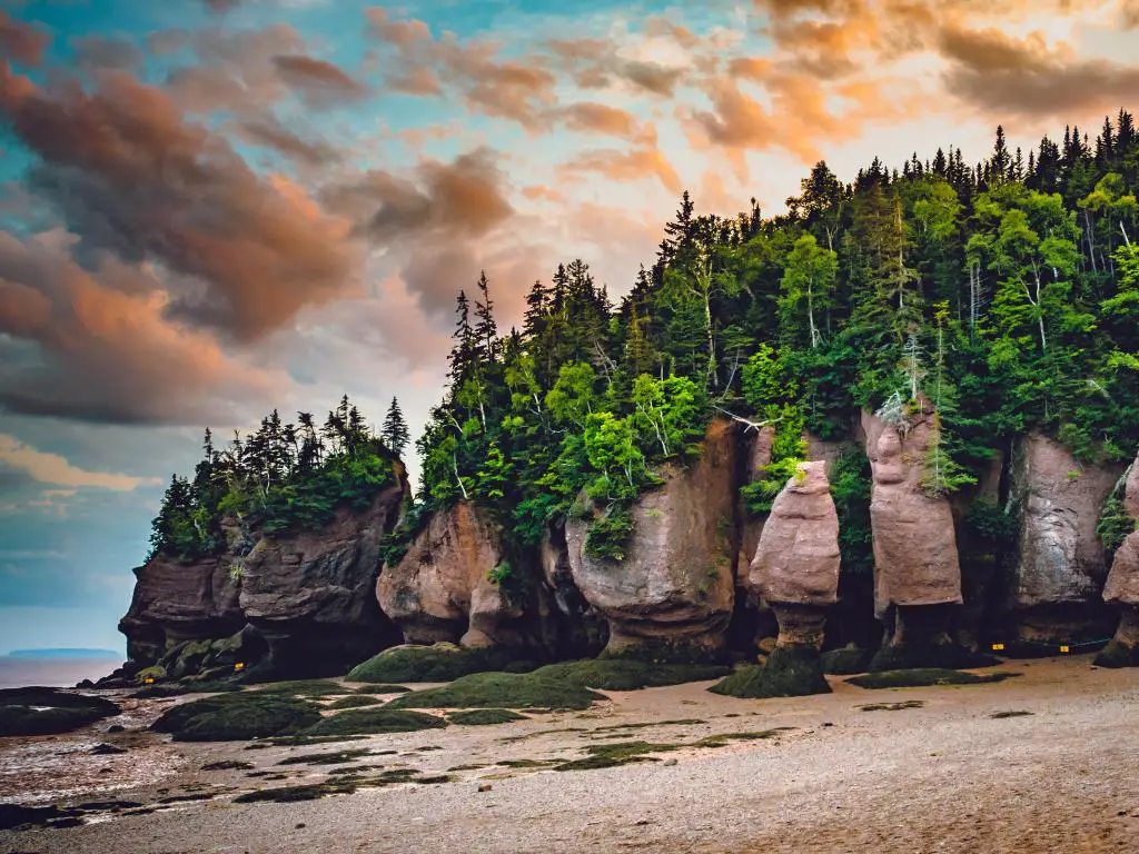 Acantilados rocosos al borde de una playa, con árboles de un verde intenso en la parte superior
