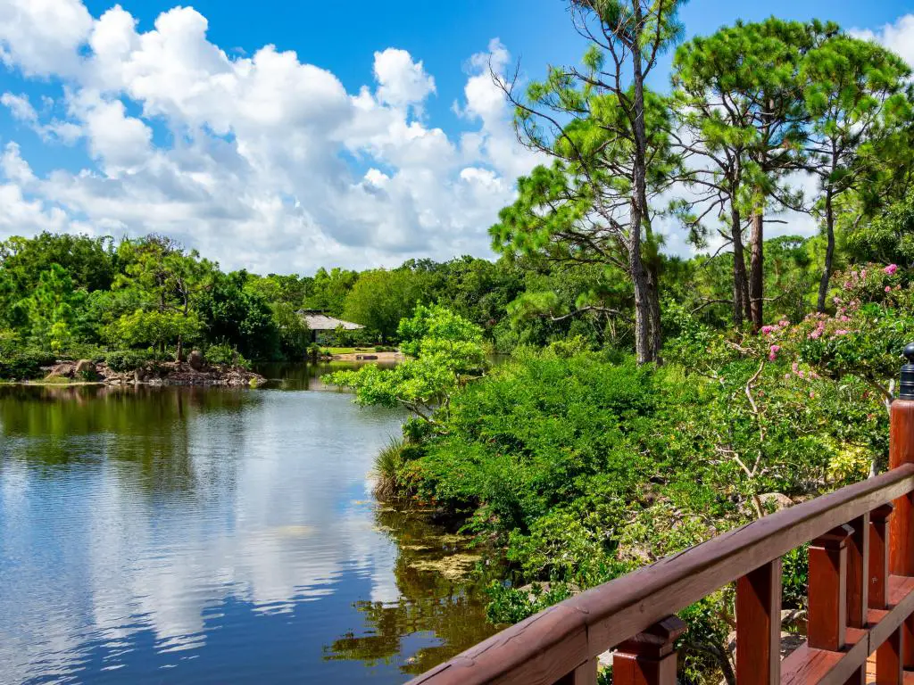 Jardines japoneses, Delray Beach, Florida, con un impresionante lago rodeado de jardines arbolados con un puente de madera en primer plano.