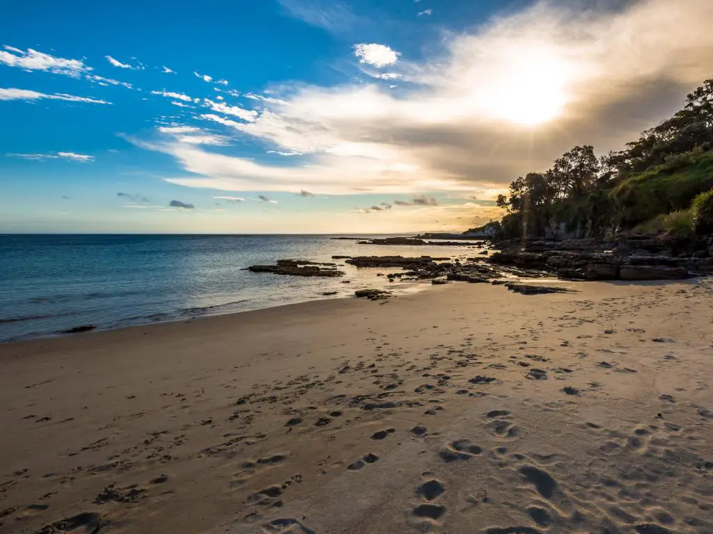 Cape Conran, Australia al atardecer con una gran playa de arena, mar suave y árboles en la distancia. 