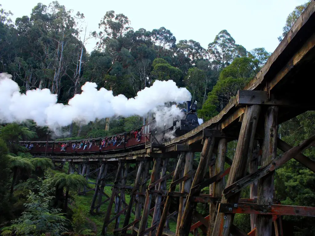 El tren de vapor viaja por un puente de madera a través de un desfiladero a través de un bosque de helechos