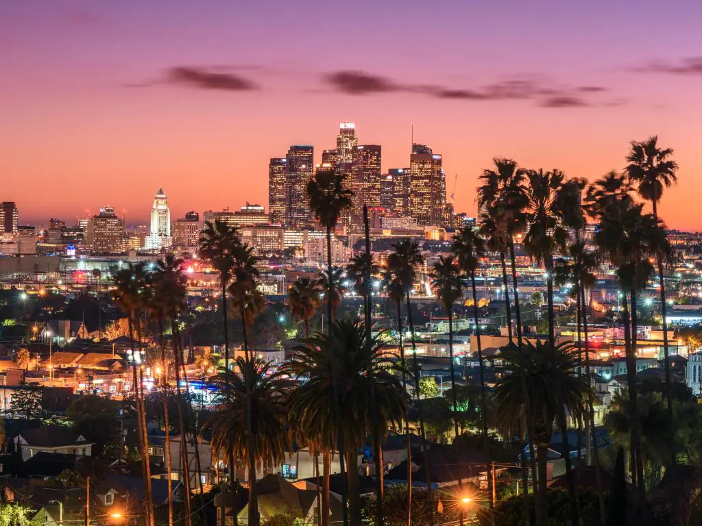 Hermosa puesta de sol del horizonte del centro de Los Ángeles y palmeras en primer plano