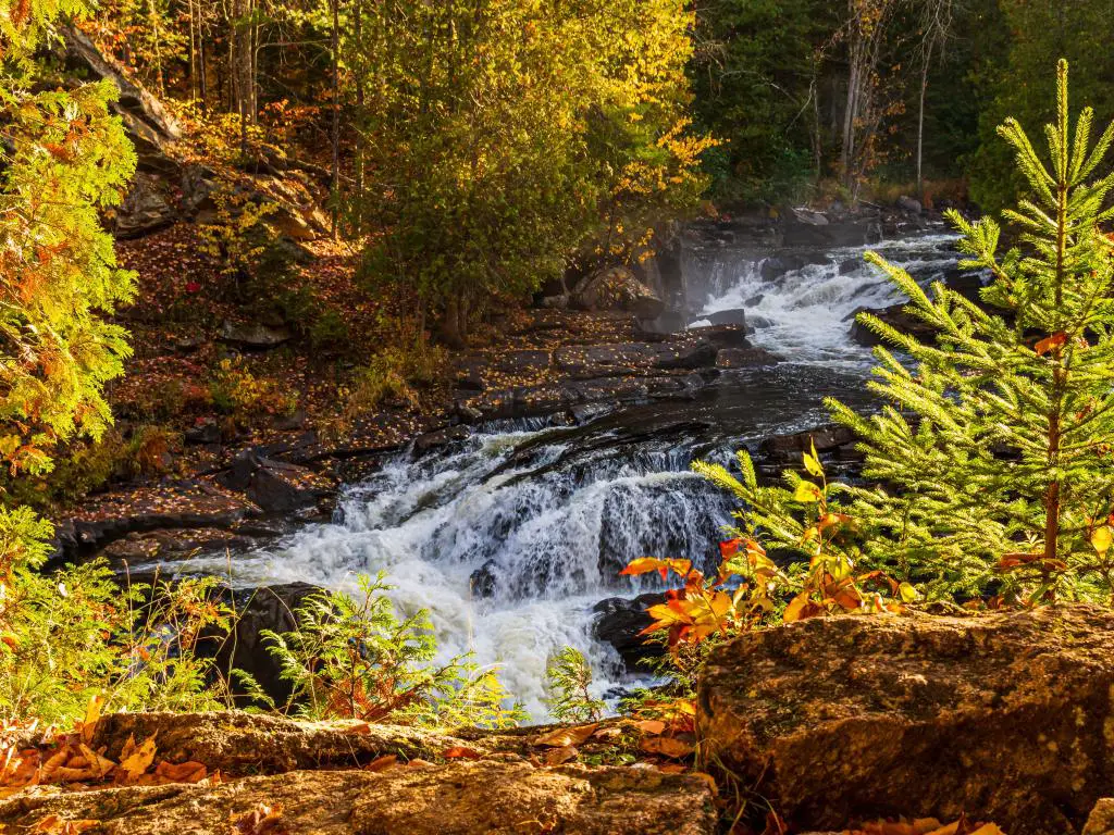 Cascada sobre rocas con colores dorados de otoño