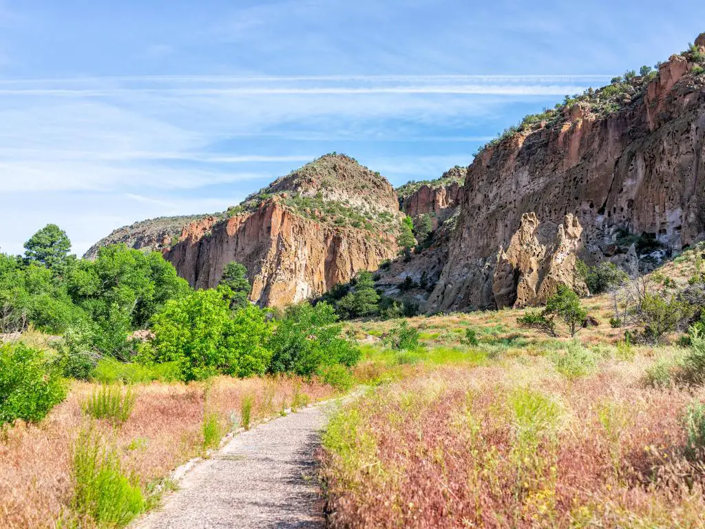Monumento Nacional Bandelier, Nuevo México con el sendero que conduce a los acantilados del cañón en el fondo en un día soleado.