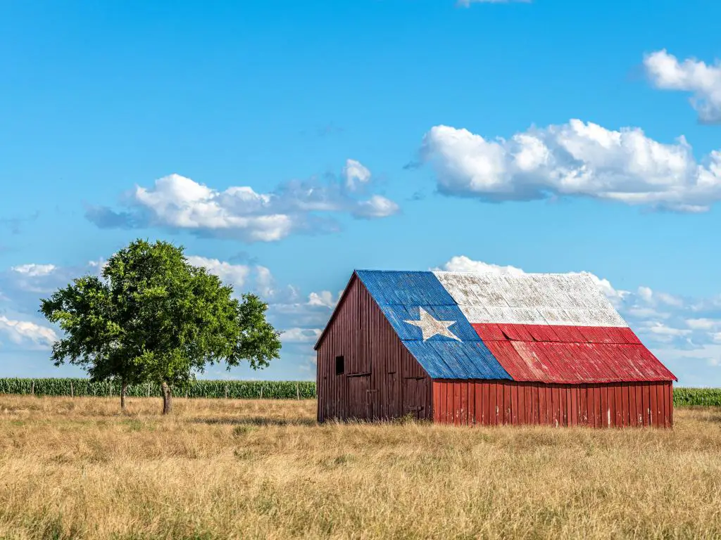 Un viejo granero abandonado con el símbolo de Texas pintado en el techo se encuentra en una zona rural del estado, enmarcado por tierras de cultivo.