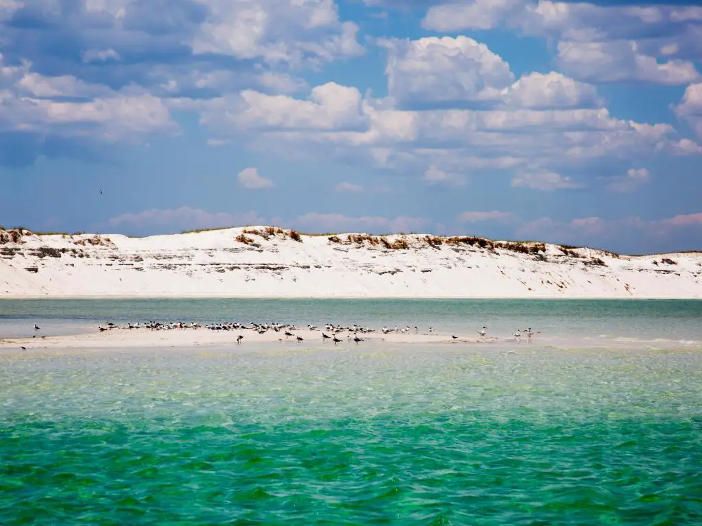 Dunas bajas de arena blanca con agua turquesa y aves marinas