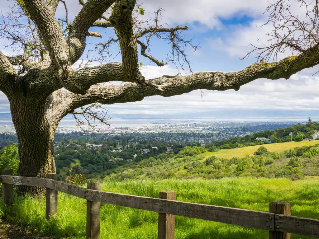 Vista hacia Redwood City, California, con un árbol alto y una cerca en primer plano y colinas que conducen a la ciudad en la distancia.