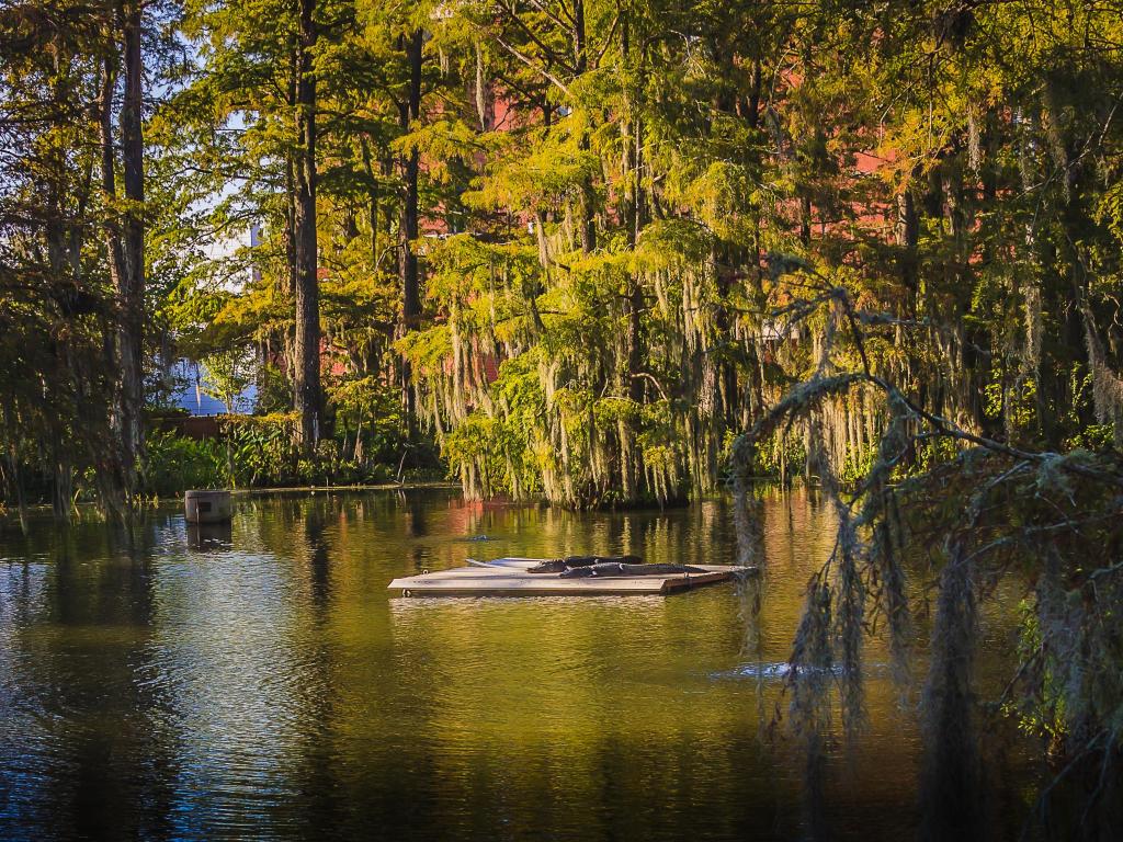 Lago Cypress en Lafayette, Luisiana