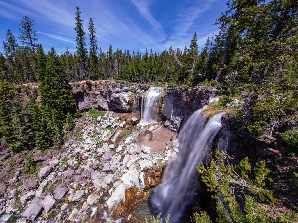 Paulina Creek Falls y bosque en el Bosque Nacional Deschutes, Oregón.