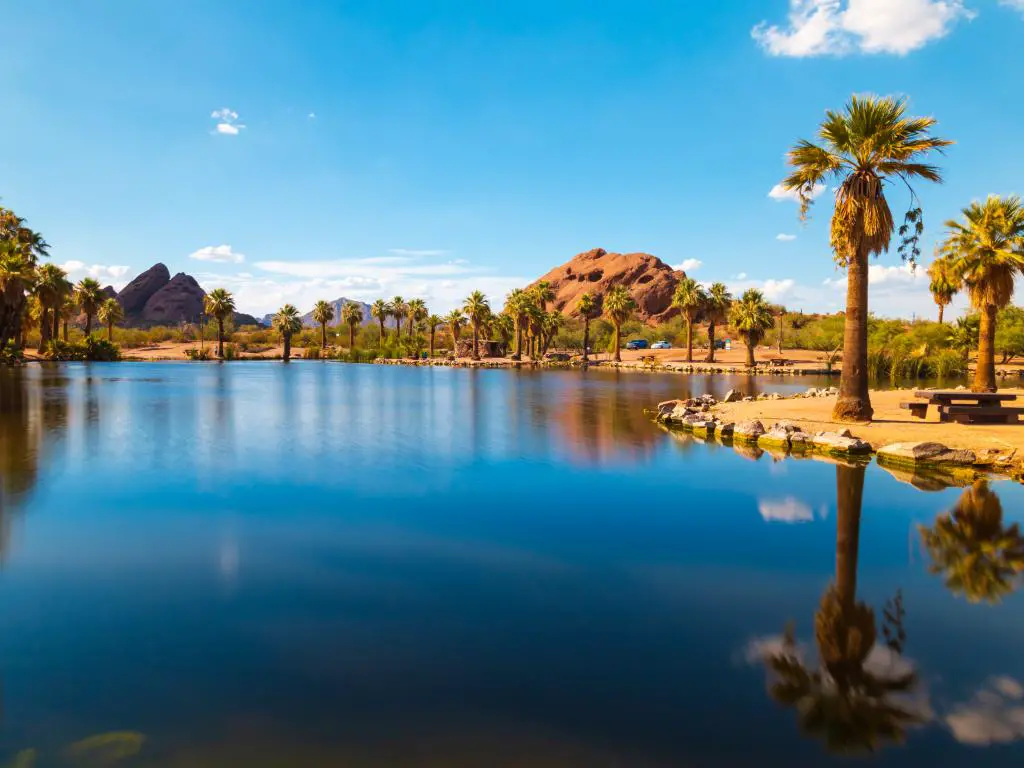 Un estanque rodeado de palmeras y rocas rojas en Papago Park en Phoenix, Arizona.