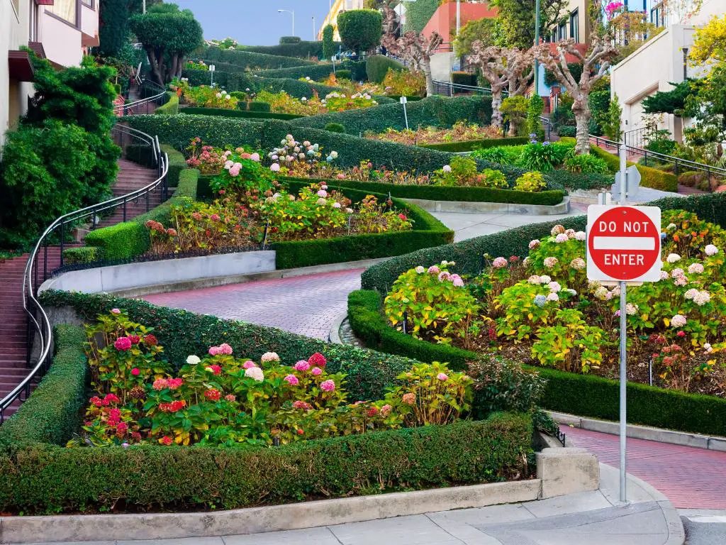 Lombard Street en San Francisco con curvas cerradas en una colina empinada entre macizos de flores.