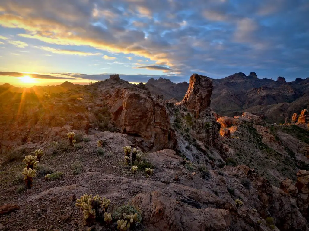 Una hermosa vista del amanecer con una gruesa capa gris de nubes esparcidas en el cielo matutino y el sol dorado iluminando las montañas con un tono dorado y cactus saguaro por todas partes en la arena en el Refugio Nacional de Vida Silvestre de Kofa, Arizona