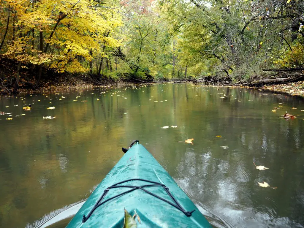 Los árboles verdes reflejaron el agua con las hojas cayendo cerca de un kayak verde a lo largo del río Calumet en el Parque Nacional de las Dunas de Indiana.