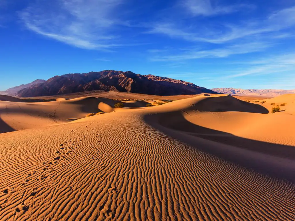 Una imagen impresionante de las dunas de arena plana de Mesquite con arenas de color naranja y un cielo azul claro.