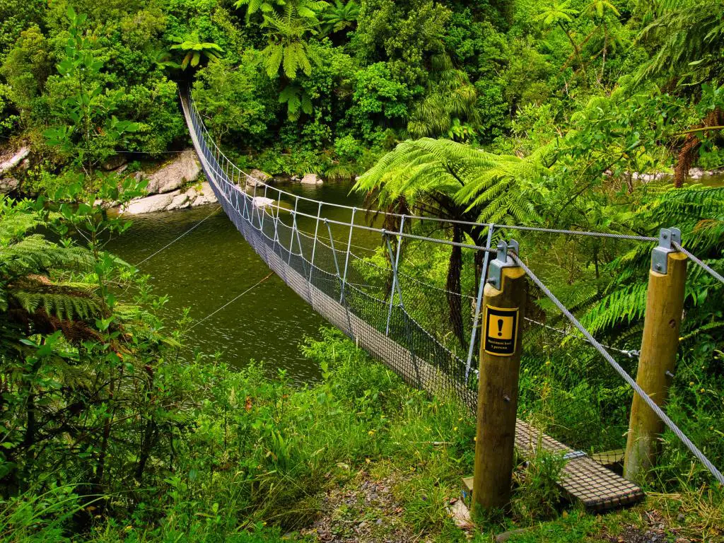 Parque Forestal de Tararua, Nueva Zelanda con un puente peatonal para excursionistas sobre el río Otaki en el área de Otaki Forks del Parque Forestal de Tararua, distrito de Kapiti Coast, Isla Norte, un área con una densa selva tropical.