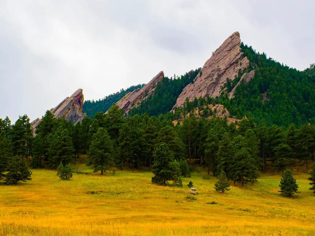 hermosa imagen de las montañas de granito oscuro Flatirons desde abajo con césped verde y amarillo, en Chautauqua Park en Boulder Colorado