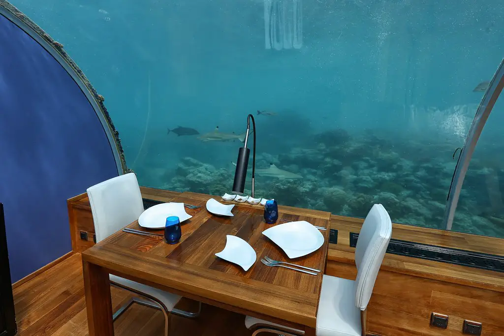 Restaurante submarino Maldivas 29