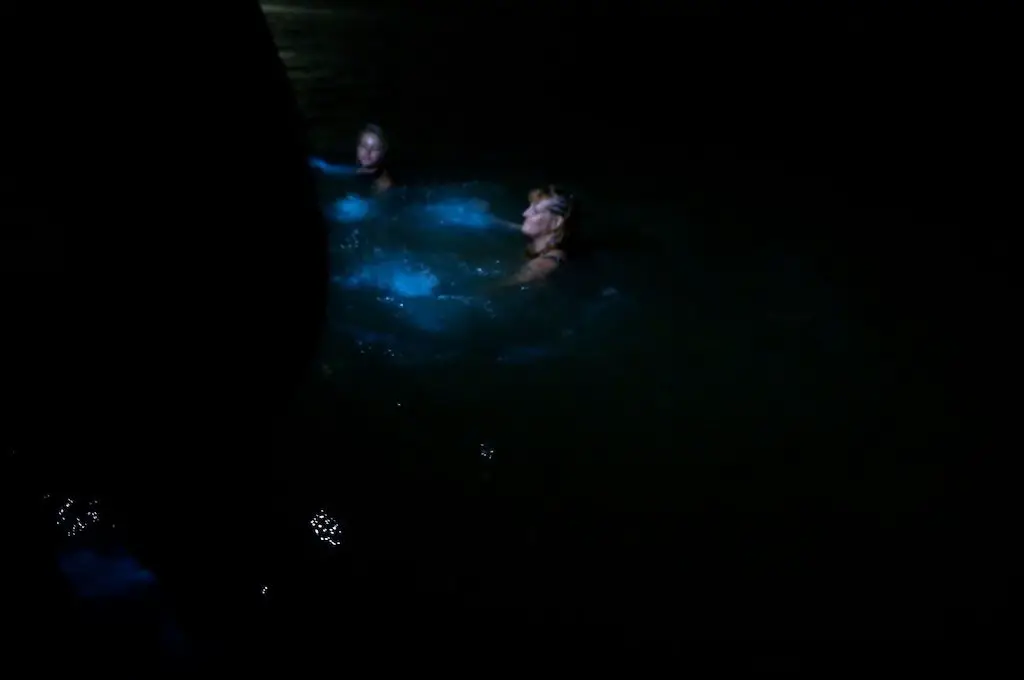 Gente nadando en la Laguna Luminosa de Jamaica