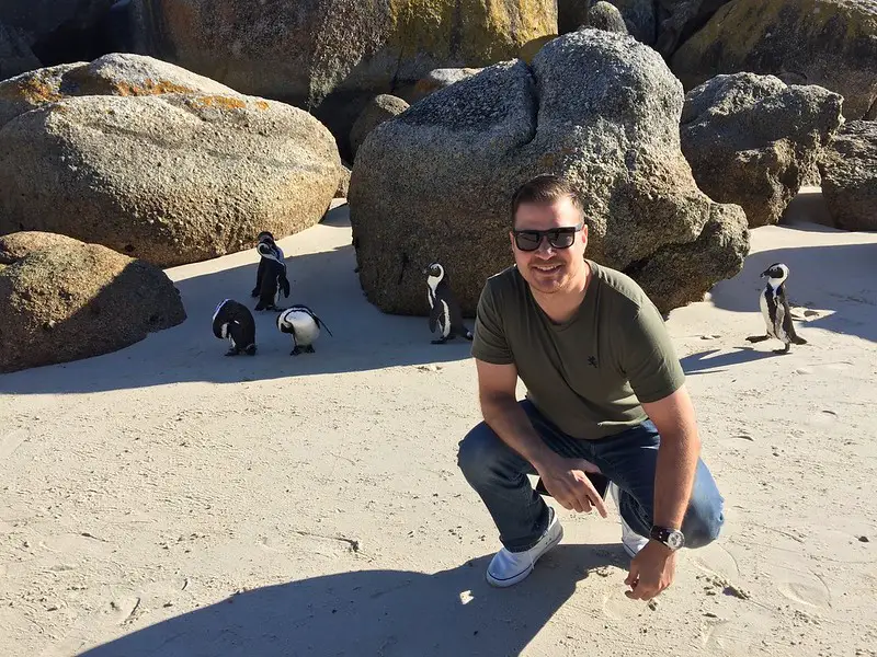Pingüinos de la playa de cantos rodados